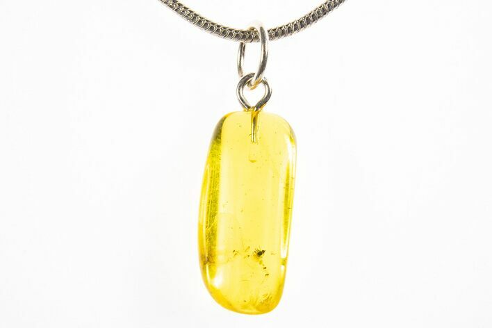 Polished Baltic Amber Pendant (Necklace) - Contains Fly! #312191